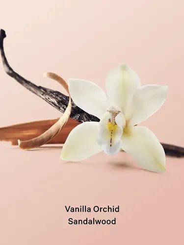 Exfoliante Corporal Vanilla Orchild Victoria’s Secret 216 G Vanilla Orchid Sandalwood