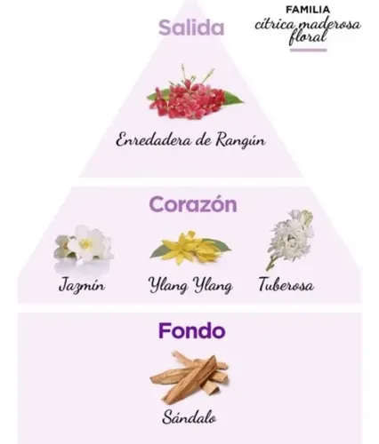 Violetta Cosméticos Perfume Femenino Femme 100ml
