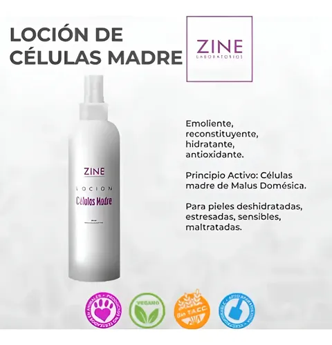 Loción Células Madre 300ml Piel +20 Vegana Sin T.a.c.c Zine Momento De Aplicación Día/noche Tipo De Piel Todo Tipo De Piel