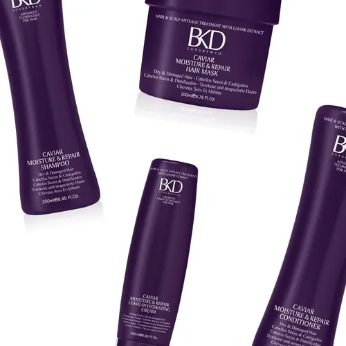 Kit Shampoo + Acondicionador + Mascara + Crema de Peinar Moisture & Repair Secos Y Castigados BKD By Fidelite Reparacion Daños