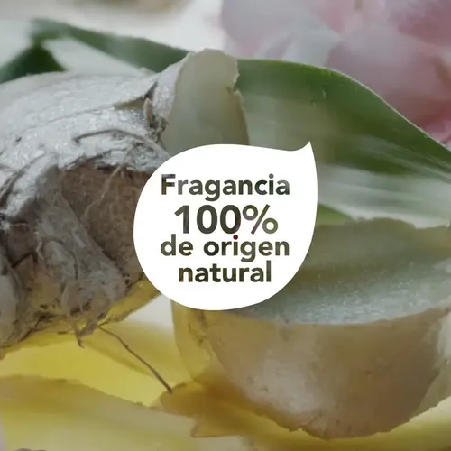 Acondicionador Dove Real Poder Plantas Purificacion X 300 Ml