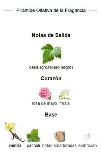 Perfume Femenino Armoni Si Extracto Concentrado Importado