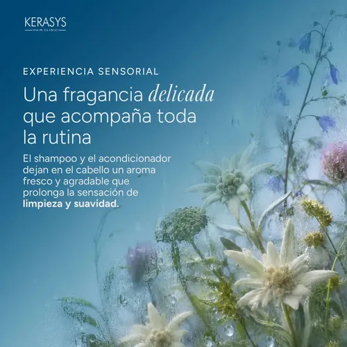 Kerasys Kit Shampoo + Acondicionador Hidratante 600 Ml