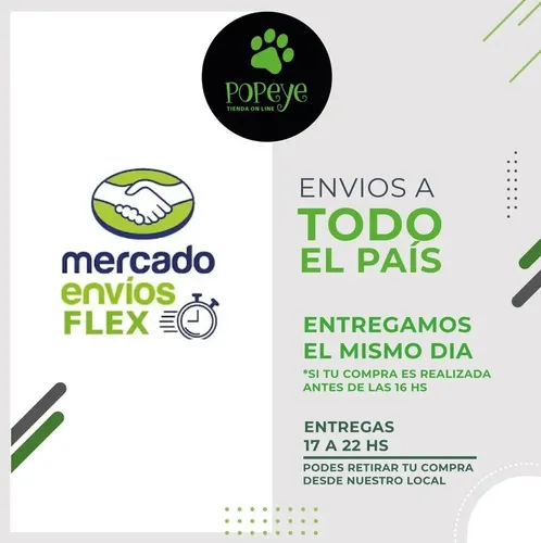 Plancha Sticker Tatto Al Agua Diseños Varios Plancha Grande