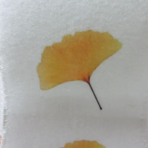 Gorro De Ducha Para La Cabeza Sombrero De Protección Gingko