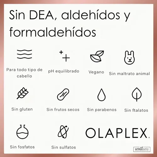 Shampoo Olaplex No.4 Bond Maintenance 250ml en botella de 250ml