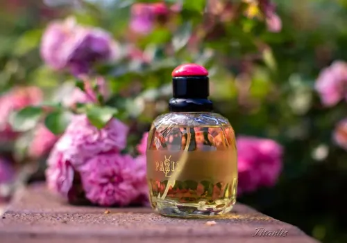 Yves Saint Laurent Paris Eau De Toilette 125ml Spray