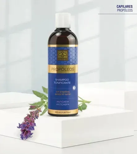 Shampoo Fortalecedor Anticaspa Tonificante Con Propóleos Reino