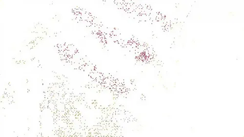 Tinte Labial Despegable (color Rosa Cálido)
