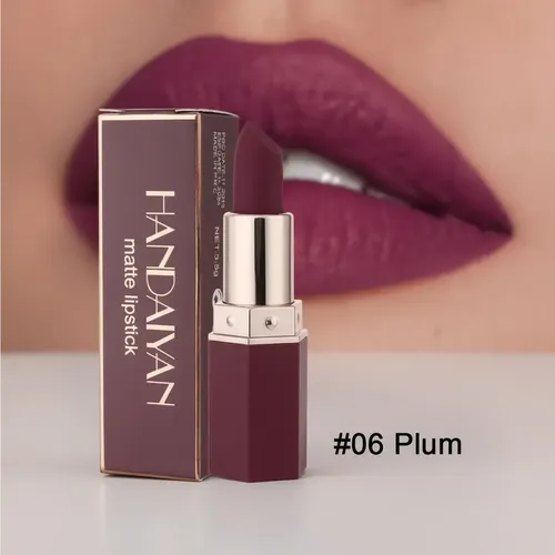 Labial Handaiyan Retráctil Matte Lipstick Color 06 Plum