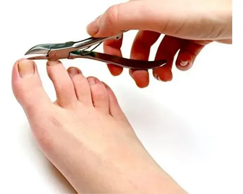 Toenail Clippers Fox Medical Equipment Professional Stainles
