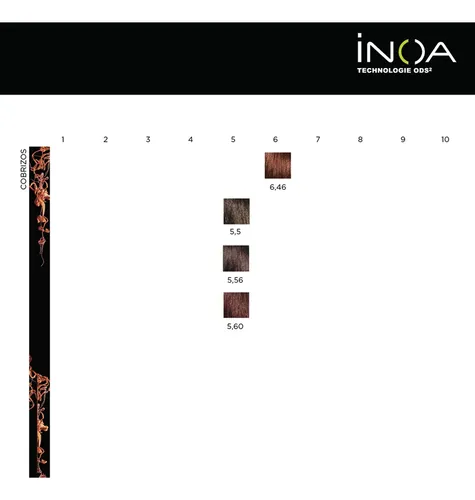 Tintura Inoa Sin Amoniaco Coloracion X60grs Loreal Pro Tono 7.43 rubio cobrizo dorado