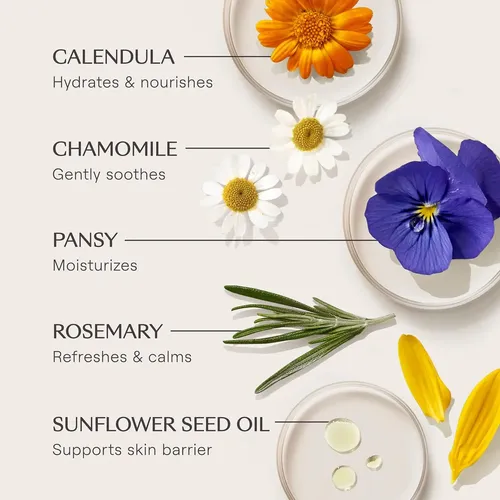 Sérum En Barra Weleda Skin Food Con Vitamina C, 0.35 Onzas