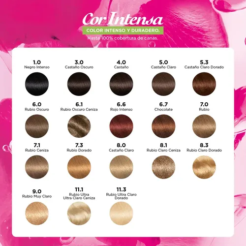 Kit Coloración Permanente Garnier Hidratante Intensa 11.1