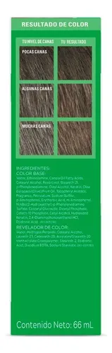Shampoo con Tinte Just for Men Fórmula Original Larga Duración Castaño H35 66ml