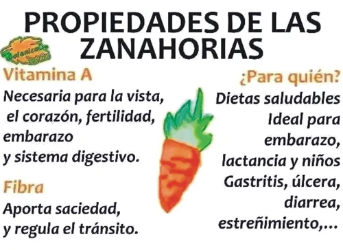 Bixa Orellana/autobronceante/protector De La Piel/vitamina E