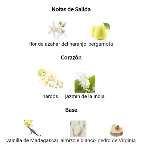 Perfume My Wfemenino/ei 100ml Extracto Concentrado