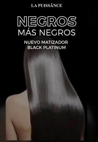 Kit Shampoo Y Máscara Negra/black Matizadora La Puissance