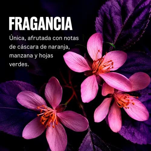 Máscara Capilar Wella Ultimate Color 95ml