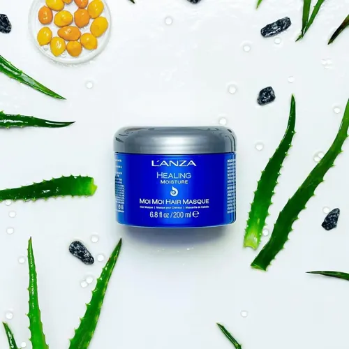 Mascarilla Capilar L’anza Healing Moi Moi Para Cabello Seco