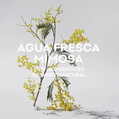 Adolfo Dominguez Agua Fresca Mimosa 120ml Eau De Toilette
