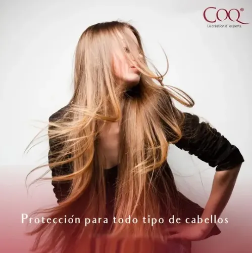 Anti Frizz Docilité Nutricion Protector 24 Hs Termico 15 Ml