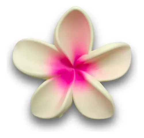 Pack Broches Hebilla De Pelo Flor Hawái Mate En Degrades X4 Rosa/fucsia/celeste/blanco