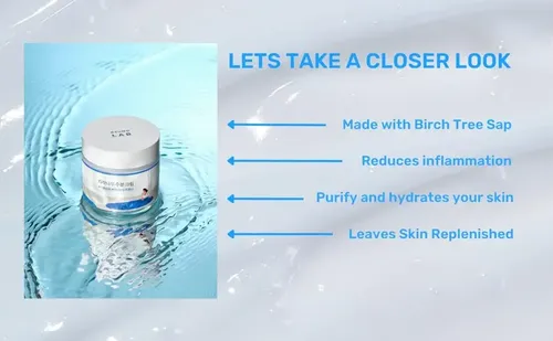 Crema Birch Juice Moisturizing Cream Round Lab día/noche para todo tipo de piel de 80mL/164g
