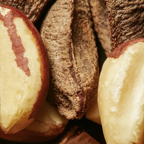 Manteca Hidratante Para El Cuerpo Ekos Castaña 200 G Natura
