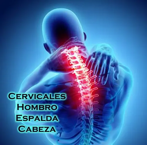 Arcilla Volcánica Calma Dolores Espalda Varices Piel Firme