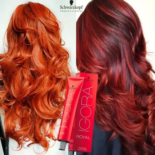 Igora Royal 9.5-4 Beige Pastel Coloración Schwarzkopf