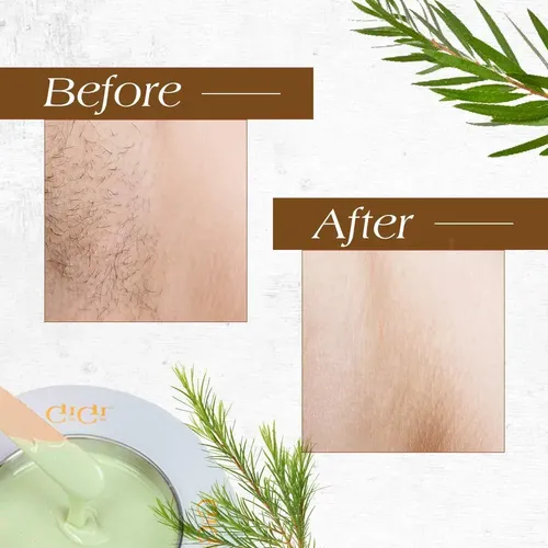 Cera Cremosa De Árbol De Té Gigi Tea Tree Crème Wax 14 Oz