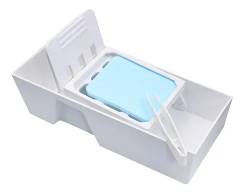 La Paleta Húmeda Mantiene La Pintura Húmeda. Caja De Pasta