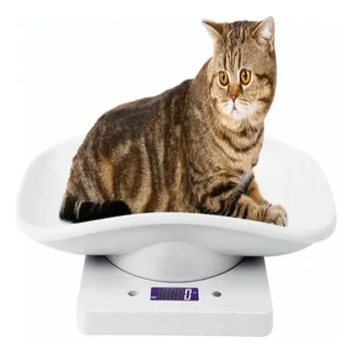 M- Báscula Veterinaria Digital Con Capacidad De 10 Kg ± 1 G
