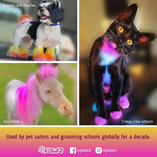 Tinte Para Mascotas Opawz Semipermanente Naranja Calabaza Pa