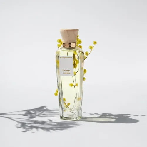 Adolfo Dominguez Agua Fresca Mimosa Coriandro Edt 120ml