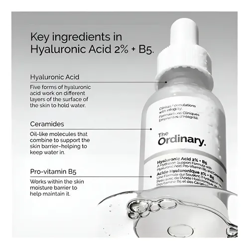 Sérum The Ordinary Ácido Hialurónico 2% + B5 60ml Hidratante Facial