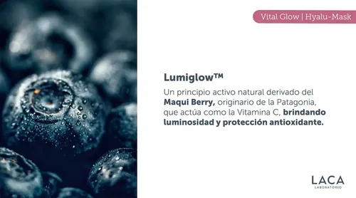 Vital Glow Hyalu Mask 250g Laca Ácido Hialurónico Antiage Tipo De Piel Todo Tipo De Piel