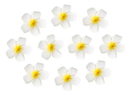 Pinza De Pelo Con Forma De Flor Para Niña Frangipani, 10 Uni
