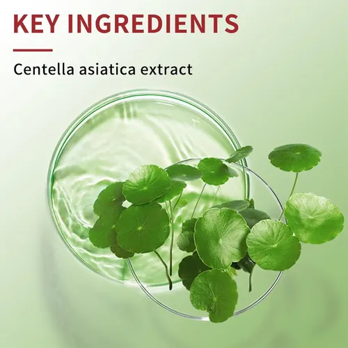 Cc Water-gel Correcting Cream (centella)