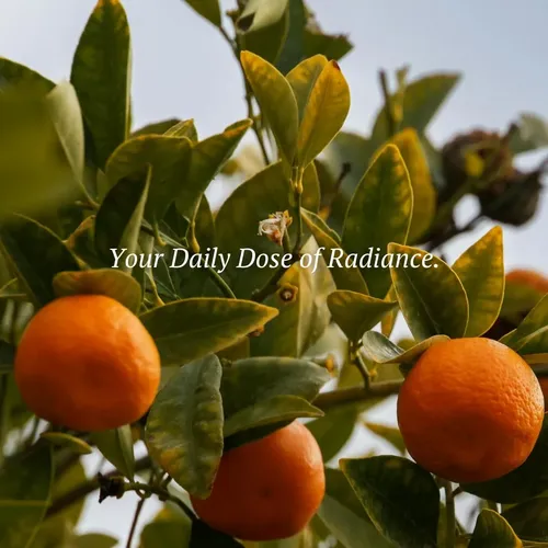 Sérum De Vitamina C Para Iluminar El Rostro De Scentuals, 60 Todo Tipo De Piel Día/noche