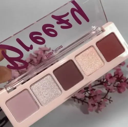 Paleta 5 Sombras Ruby Rose Overland Heated Breezy O Flood