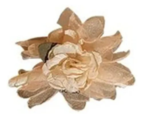 Apasador De Pelo Camelia Súper Hada /