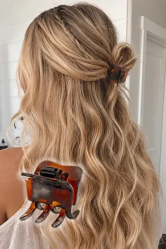 Broche Carey Frances Ganchos Pelo Importados Clips Carey