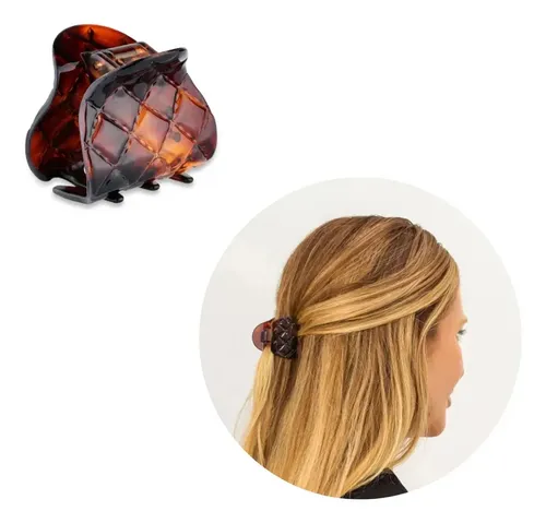 Broche Pelo Mediano Ganchos Clip Carey Frances Carey
