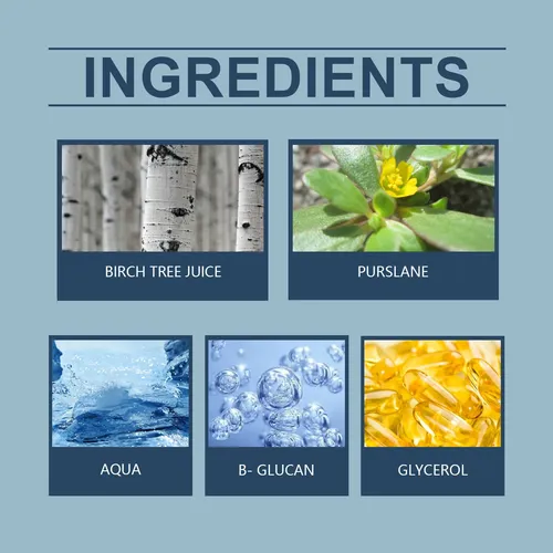 Spray De Jugo De Abedul Para Maquillaje Facial Hidratante Y  120ml (for Export Sales Only  Domestic Sales Are Prohibited  Purchase Constitutes Acceptance Of The Disclaimer)