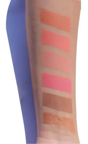 Undaunted Blush Paleta De 6 Rubores Y Contornos Undaunted Blush De Rude Cosmetics Original Envío Full A Todo El País