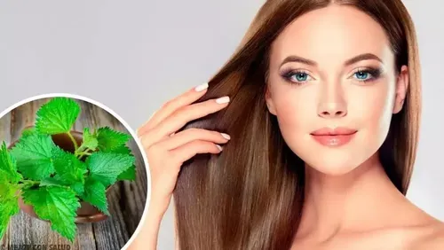 Loción Capilar Para Caída Del Cabello Propóleos Y Ortiga