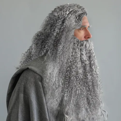 2026 Barba Y Peluca De Mago: Disfraz Divertido De Padre