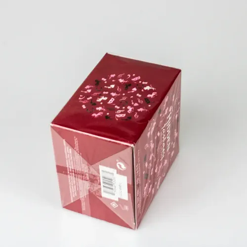 Perfume Hidden Fantasy 100 ml Eau de Parfum Britney Spears Floral Frutal